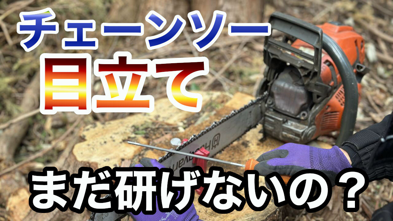 【朗報】チェーンソーの目立てを徹底解説!これだけ見ておけば切れるよ | 孤独キャン部ログ